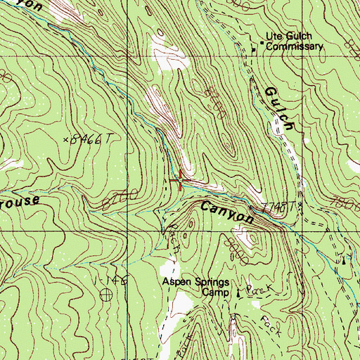 Topographic Map of Sawmill Canyon, NM