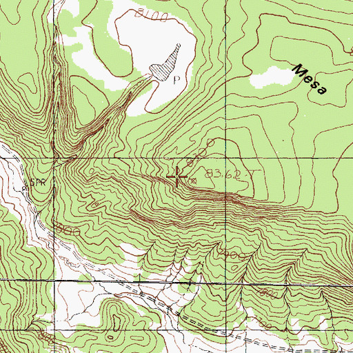 Topographic Map of Sawmill Mesa, NM