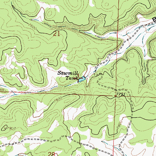 Topographic Map of Sawmill Tank, NM