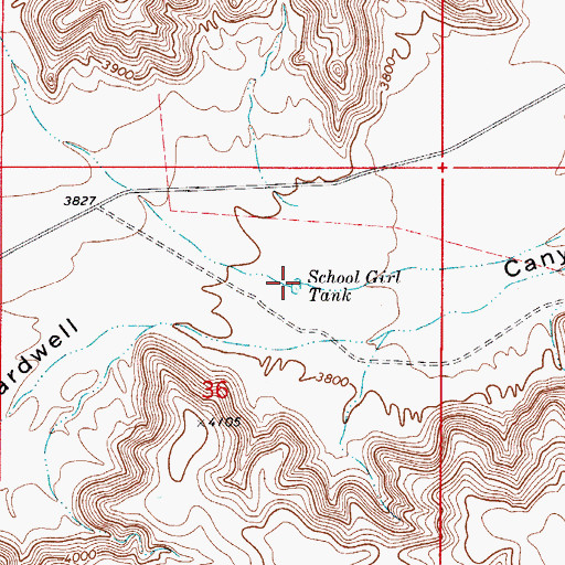 Topographic Map of School Girl Tank, NM