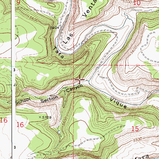 Topographic Map of School Section Canyon, NM