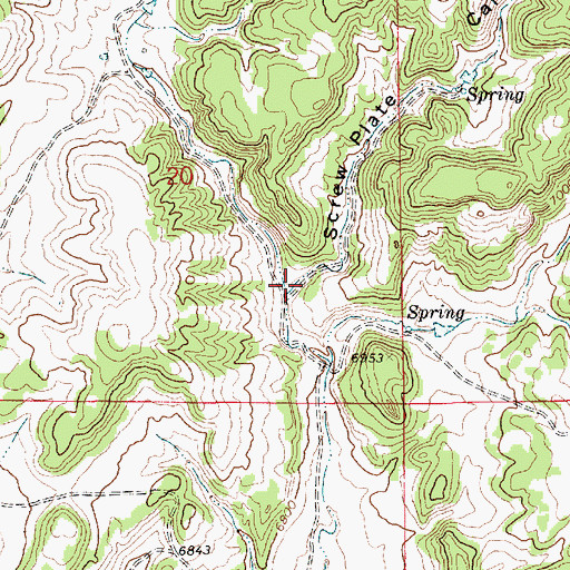 Topographic Map of Screw Plate Canyon, NM