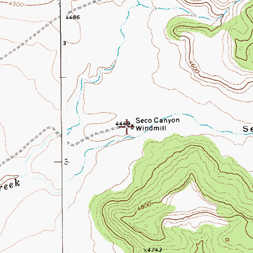 Topographic Map of Seco Canyon Windmill, NM