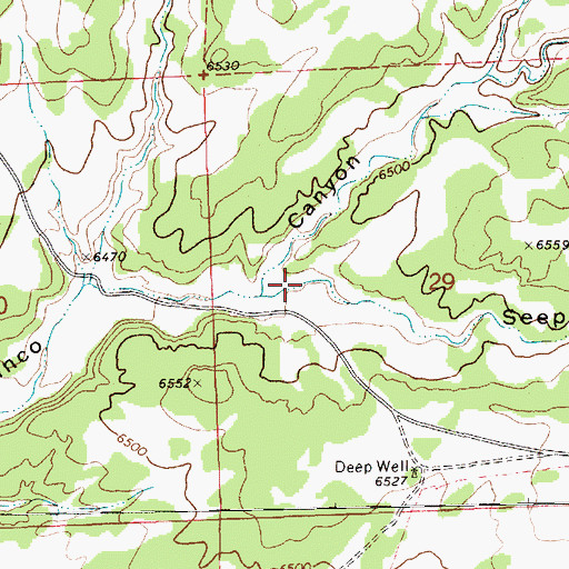 Topographic Map of Seep Canyon, NM