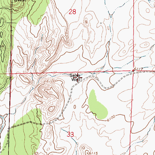 Topographic Map of Selso Well, NM