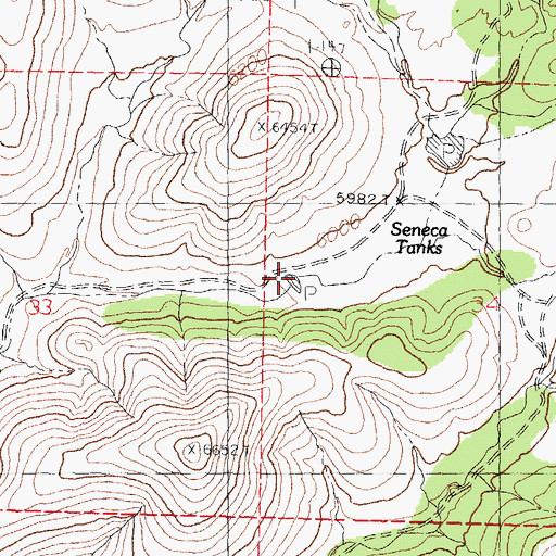 Topographic Map of Seneca Tanks, NM