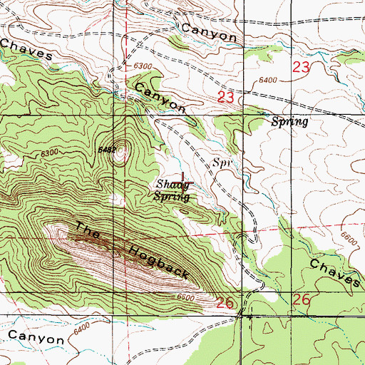 Topographic Map of Shady Spring, NM