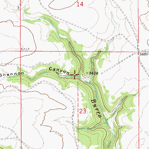 Topographic Map of Shannon Canyon, NM
