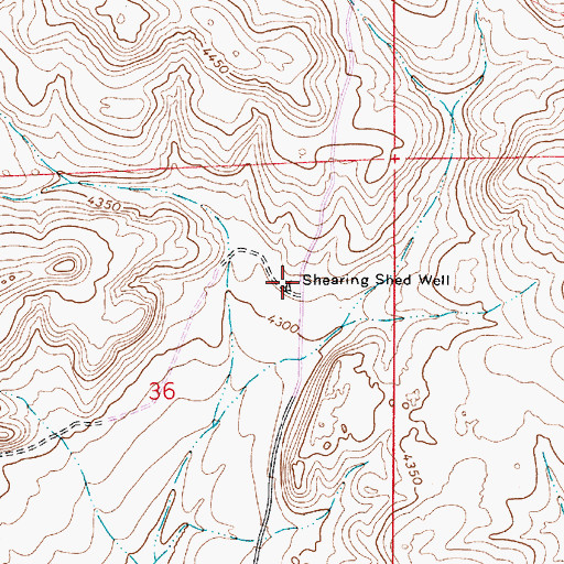 Topographic Map of Shearing Shed Well, NM