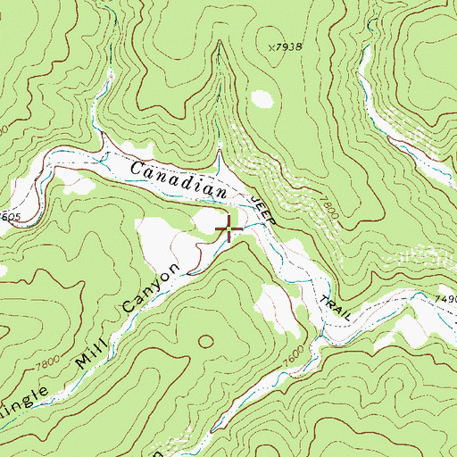 Topographic Map of Shingle Mill Canyon, NM