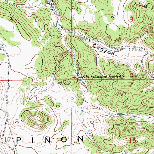 Topographic Map of Shoemaker Spring, NM