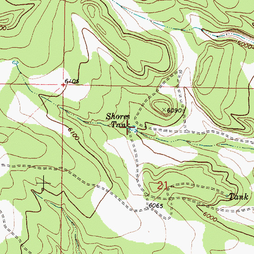 Topographic Map of Shores Tank, NM