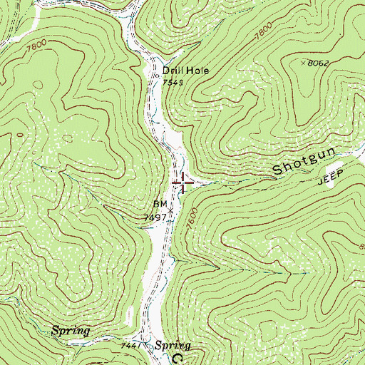 Topographic Map of Shotgun Canyon, NM