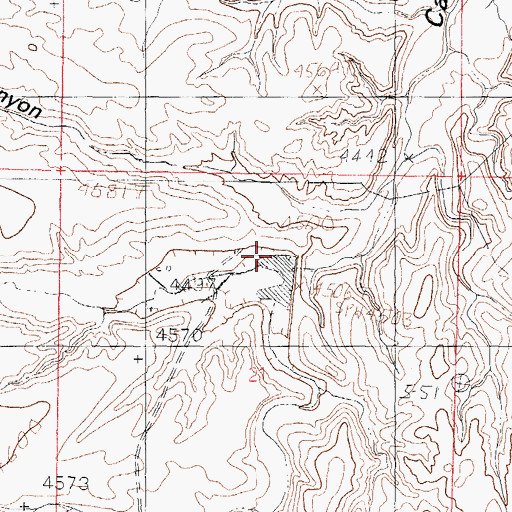 Topographic Map of Silva Canyon, NM