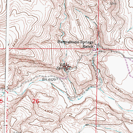 Topographic Map of Silva Spring, NM