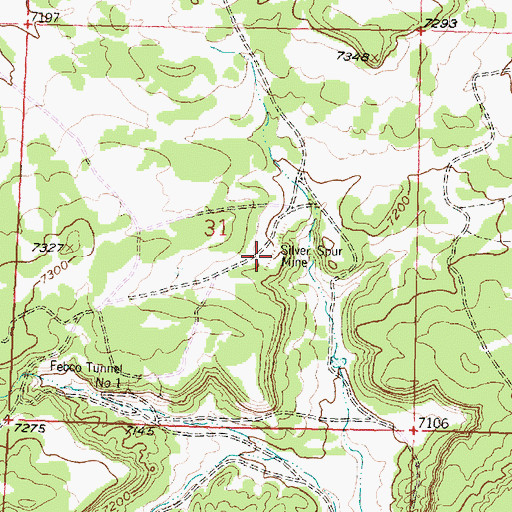 Topographic Map of Silver Spur Mine, NM