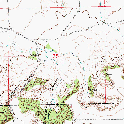 Topographic Map of Simmons Canyon, NM