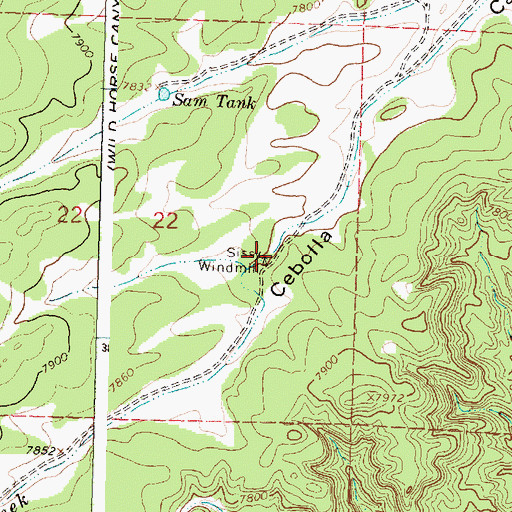 Topographic Map of Sissy Windmill, NM