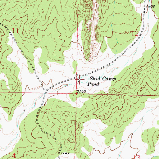 Topographic Map of Skid Camp Pond, NM