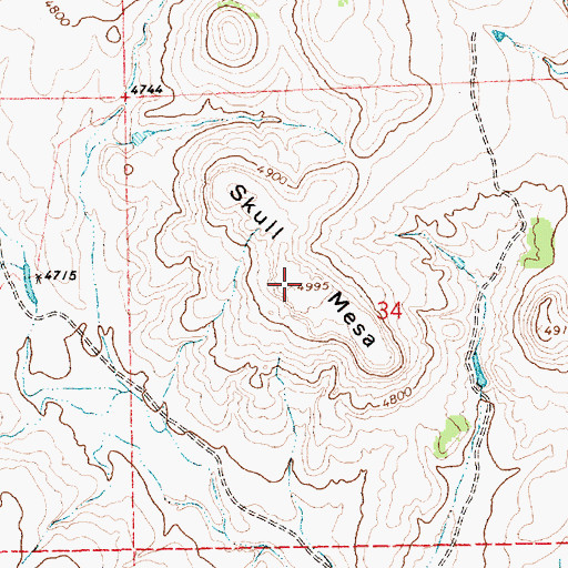 Topographic Map of Skull Mesa, NM