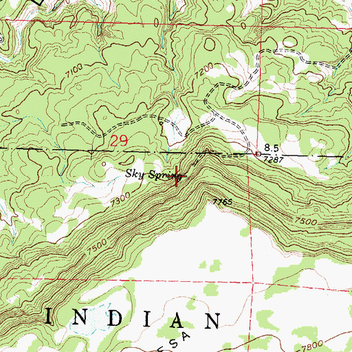 Topographic Map of Sky Spring, NM