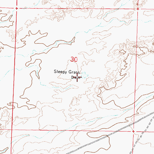 Topographic Map of Sleepy Grass Dam, NM