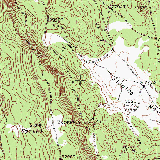Topographic Map of Sloping Meadow, NM
