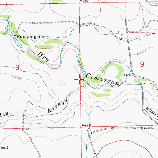 Topographic Map of Smiley Arroyo, NM