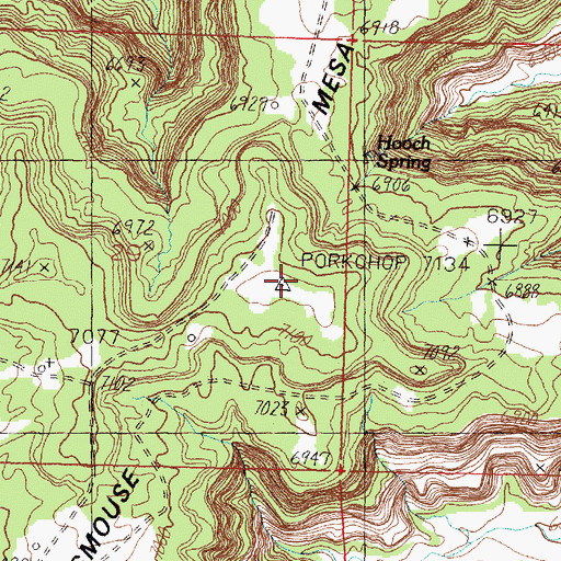 Topographic Map of Smouse Mesa, NM