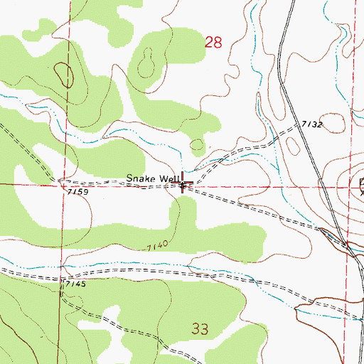 Topographic Map of Snake Well, NM
