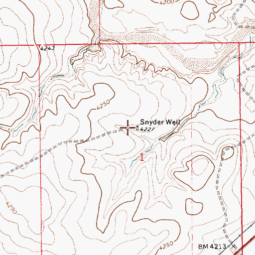 Topographic Map of Snyder Well, NM
