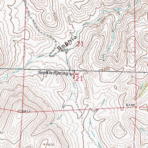 Topographic Map of Sophio Spring, NM