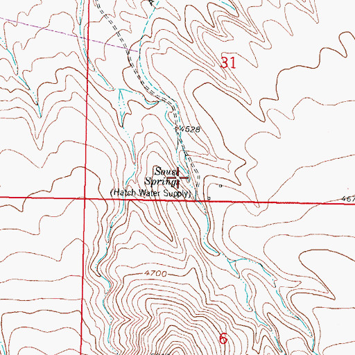 Topographic Map of Souse Springs, NM