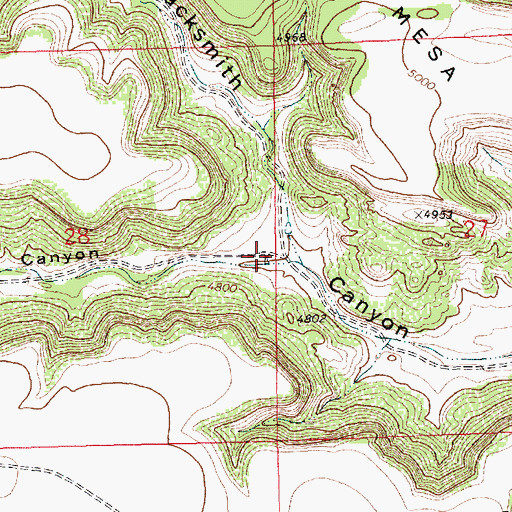 Topographic Map of South Fork Canyon, NM