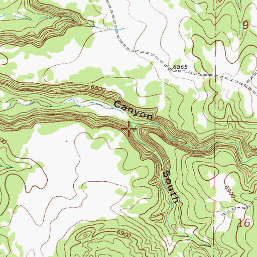 Topographic Map of South Fork Pine Canyon, NM