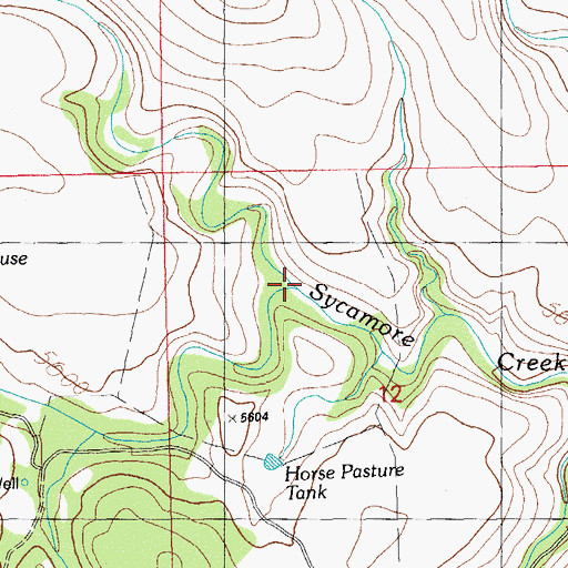 Topographic Map of South Fork Sycamore Creek, NM