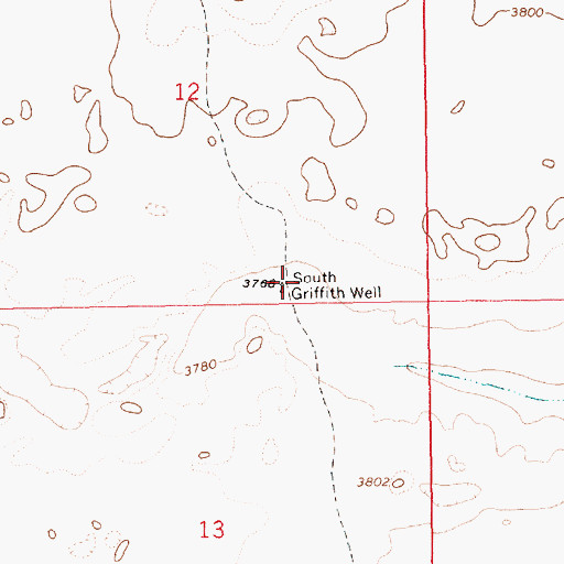 Topographic Map of South Griffith Well, NM