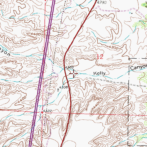 Topographic Map of South Kelly Canyon, NM