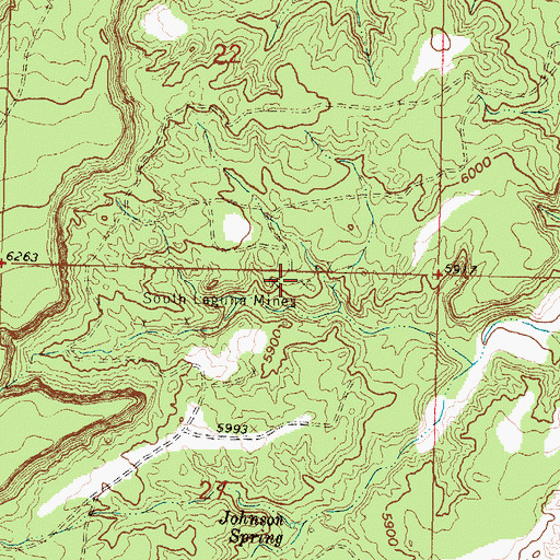 Topographic Map of South Laguna Mines, NM