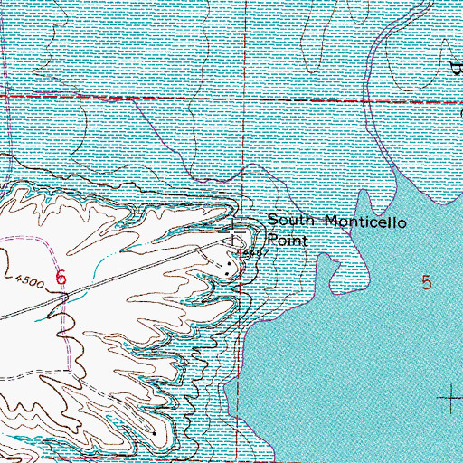 Topographic Map of South Monticello Point, NM