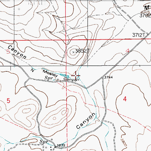 Topographic Map of South Mosley Canyon, NM