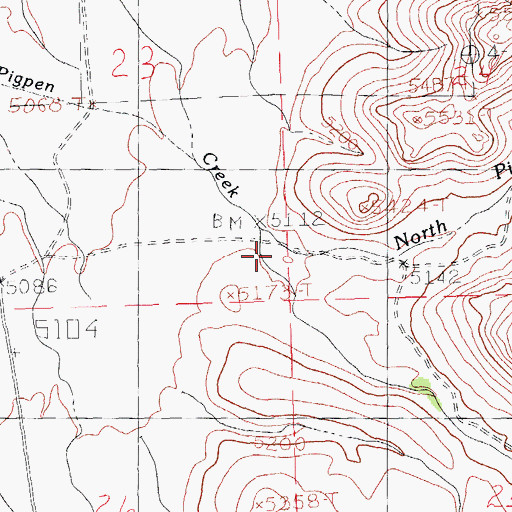 Topographic Map of South Pigpen Creek, NM