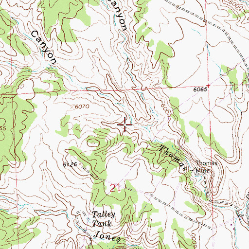 Topographic Map of South Thomas Canyon, NM