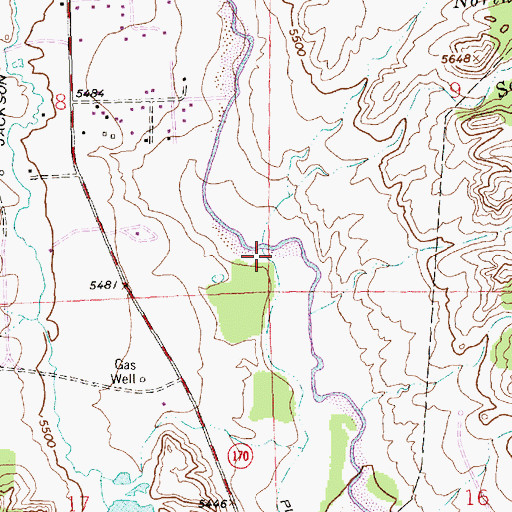 Topographic Map of South Twin Wash, NM