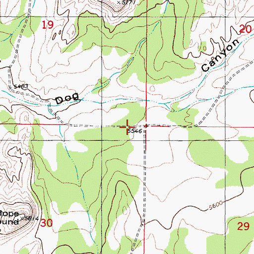 Topographic Map of South Well, NM