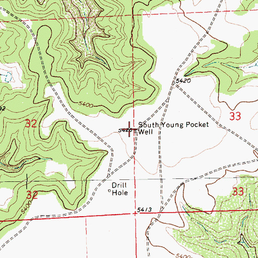 Topographic Map of South Young Pocket Well, NM