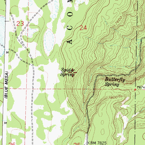 Topographic Map of Spider Spring, NM