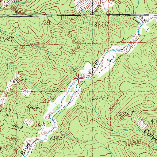 Topographic Map of Spring Branch, NM