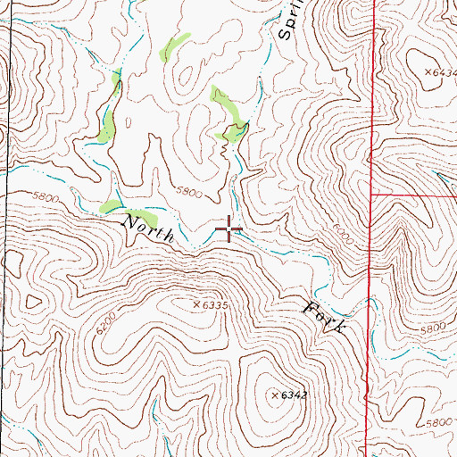 Topographic Map of Spring Canyon, NM