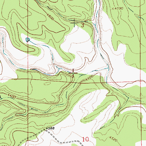 Topographic Map of Spring Canyon, NM